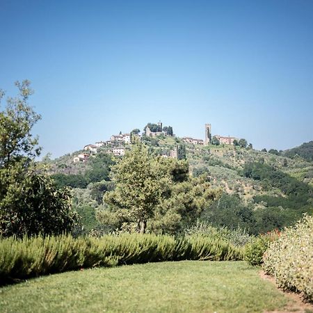 Terre Di Cocomo Borgo a Buggiano Bagian luar foto