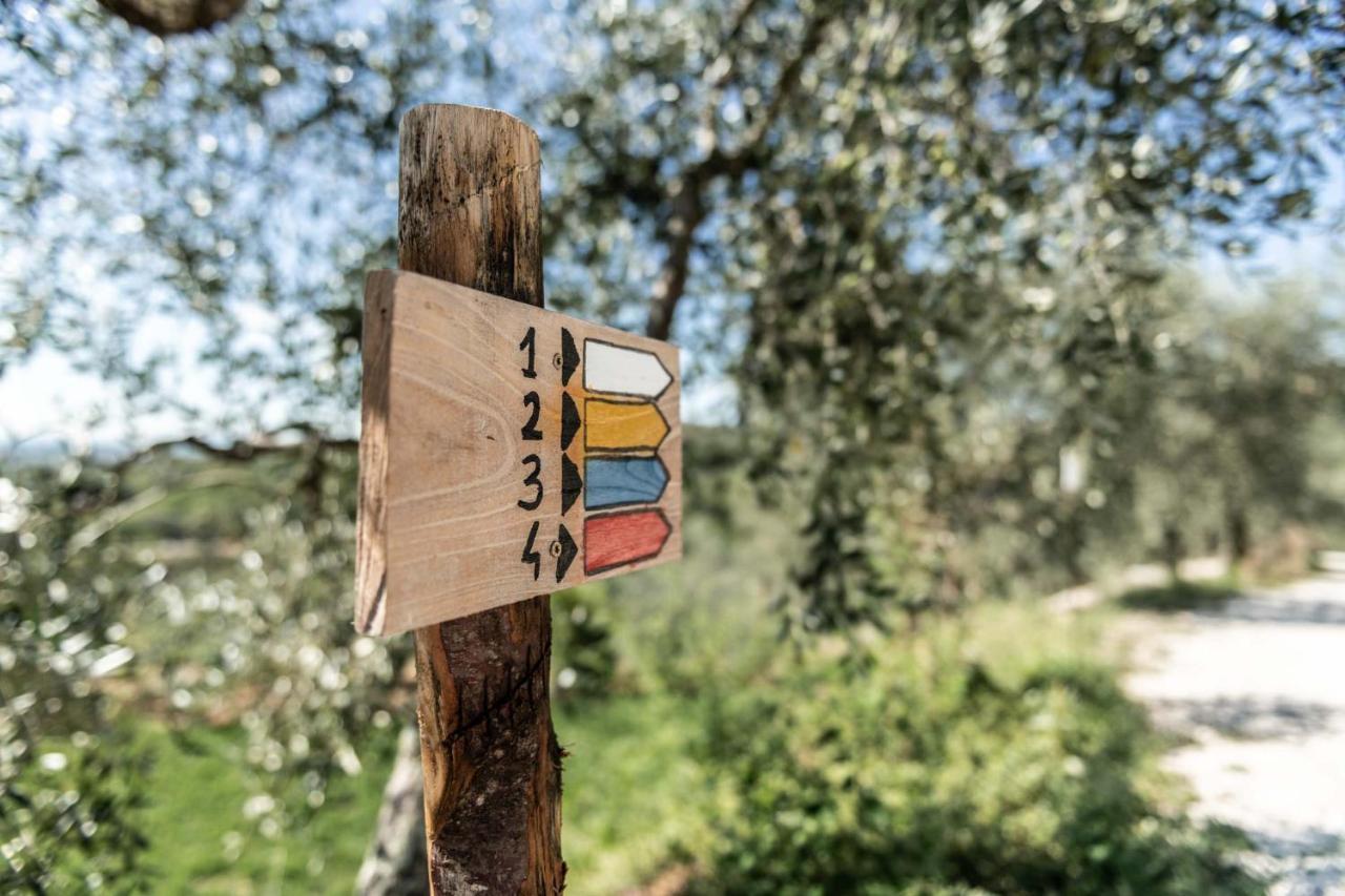 Terre Di Cocomo Borgo a Buggiano Bagian luar foto