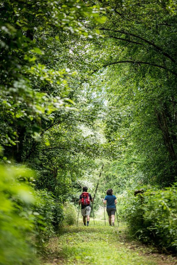 Terre Di Cocomo Borgo a Buggiano Bagian luar foto